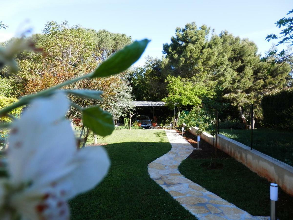 Luna Apartment Porec Esterno foto